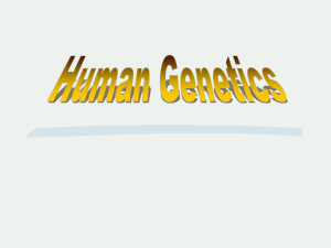 Human Genetics Notes