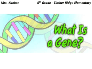 Konken's Genetics Presentation