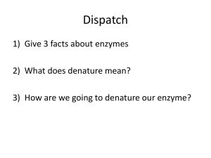 Denaturing Enzymes