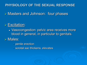 Physiology of the Sexual Response