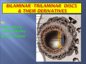 lecture7- Bilaminarand trilaminar discs