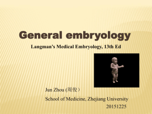 General embryology( Fer-Imp)