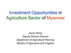 Investment Opportunities in Agriculture Sectors of Myanmar 2013