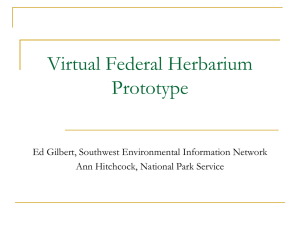 Virtual Federal Herbarium Prototype PowerPoint