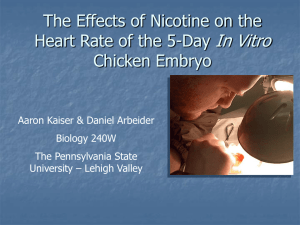 The Effects of Nicotine on the Heart Rate of the 5 Day In Vitro