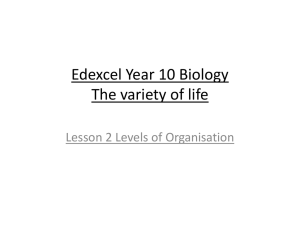 Edexcel Year 10 Biology The variety of life