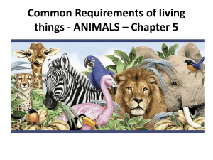 Requirements of Animals Ch 5 Pt A  - SandyBiology1-2