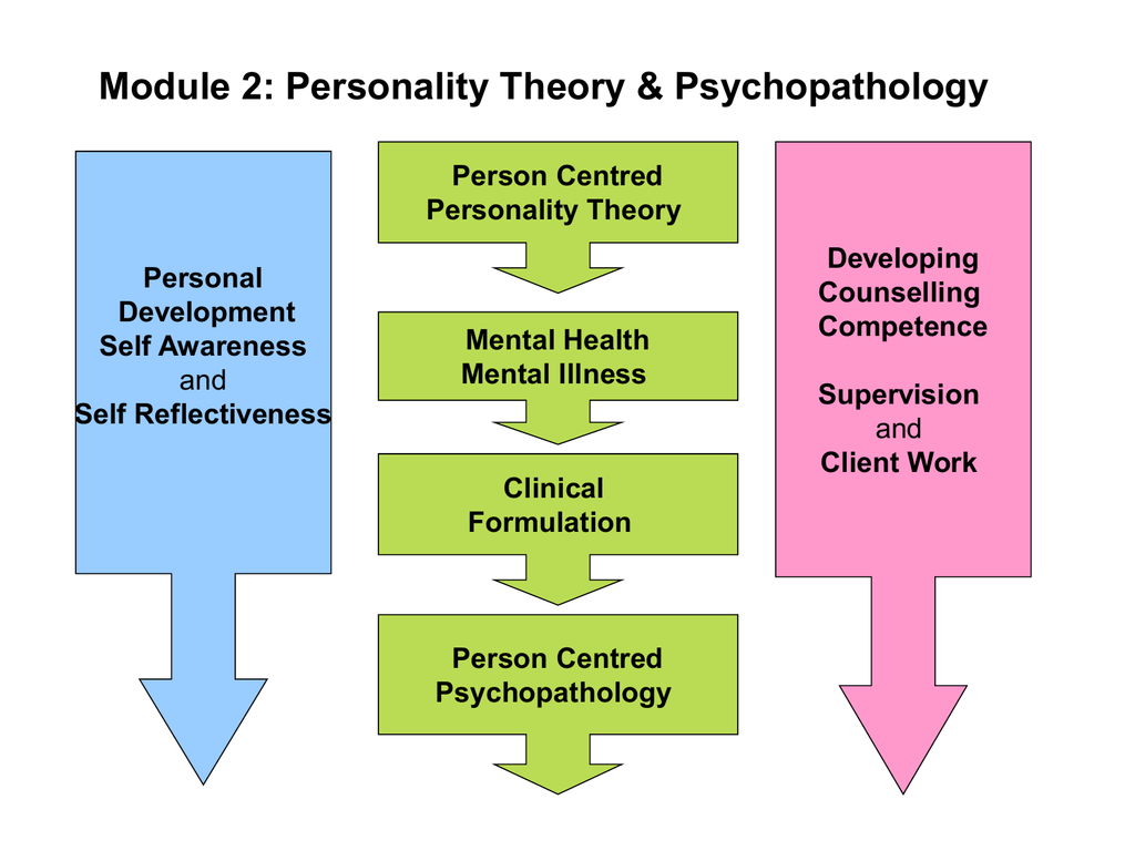 critique of person centred approach