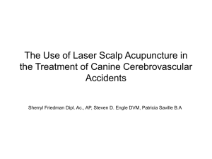 The Use of Laser Scalp Acupuncture in the Treatment of Canine