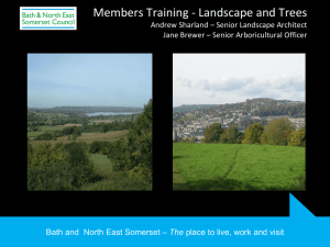 Trees and Landscape Dec 15 - Bath & North East Somerset Council