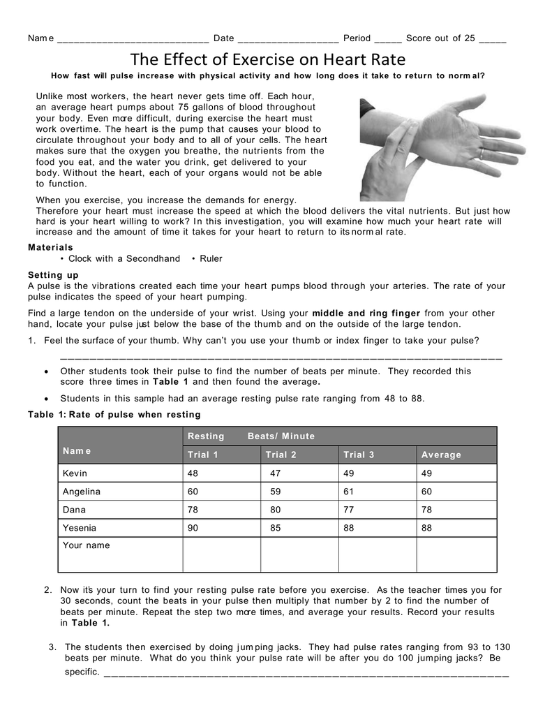 Jumping Jacks Heart Rate Lab Report - Rating Walls