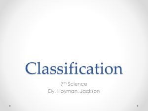 Classification - 7th Grade White