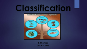 Classification Notes