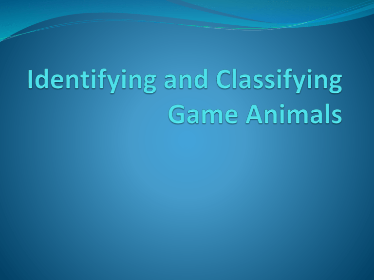 Identifying And Classifying Game Animals