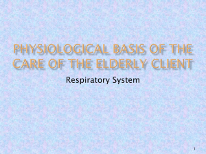 Chapter 16 Respiratory System