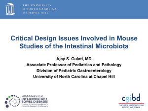 Critical Design Issues Involved in Mouse Studies of the Intestinal