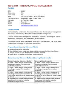 ibus 2341 - intercultural management