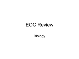 EOC Review