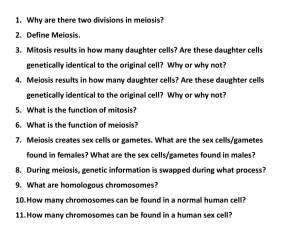 Meiosis results in how many daughter cells?