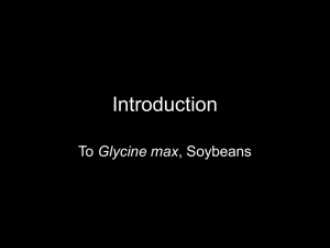 History of Soybeans