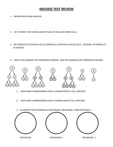 Meiosis test Review