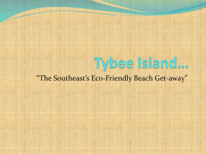 Tybee Island Tourism Plan