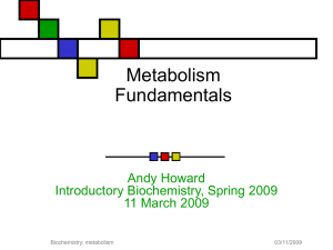 metab0S09