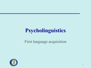 First language acquisition