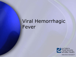 Viral Hemorrhagic Fever Presentation