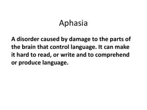 Wernicke's Aphasia