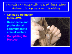 The Role and Responsibilities of Those Using Animals in Research