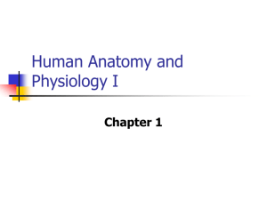 Human Anatomy and Physiology I