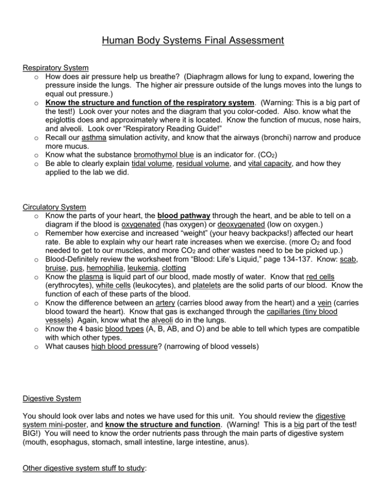 Human Body Systems Final Assessment