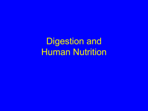 AP digestion