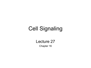 Cell Signaling