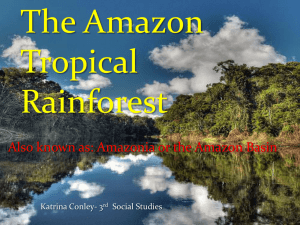 Amazon - KatrinaConleyPortfolio