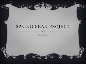 Springbreak project