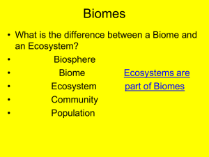 Land biomes