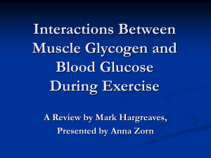 Interactions Between Muscle Glycogen and Blood Glucose During