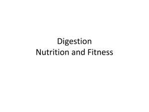 Digestion Notes NF Digestive system spring15