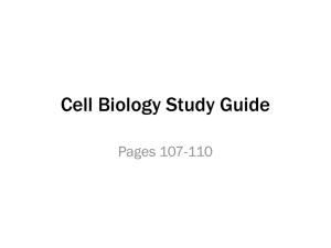 Cell Biology Study Guide