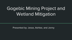 Gogebic Mining Project and Wetland Mitigation