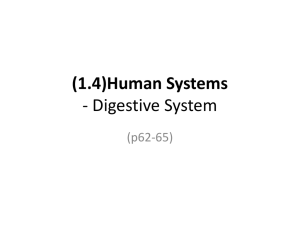 (1.4)Human Systems