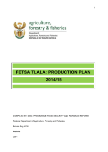 Fetsa Tlala Plan - 25 June 2014