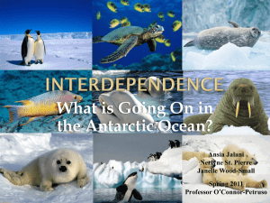 Interdependence - What is going on in the Antartic Ocean