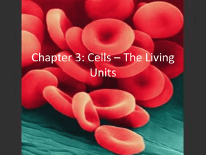 Chapter 3: Cells * The Living Units