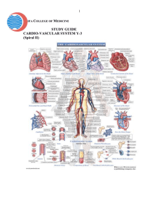 CVS Spiral II Study Guide - Shifa College of Medicine