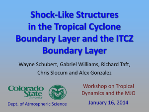 Shock-Like Structures in the Tropical Cyclone Boundary Layer