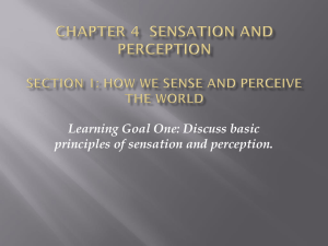 Chapter 4 Sensation and Perception Section 1: How we sense and