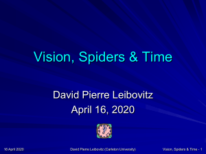 Spiders & Time - Dr. David Pierre Leibovitz